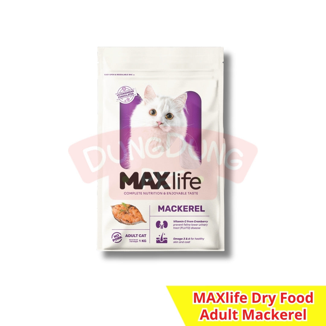 MAXlife dry food adult/kitten 1kg