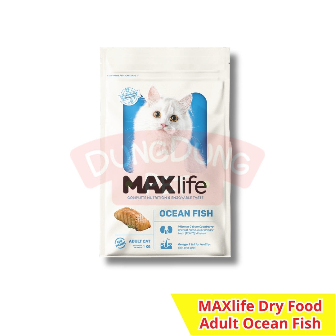 MAXlife dry food adult/kitten 1kg