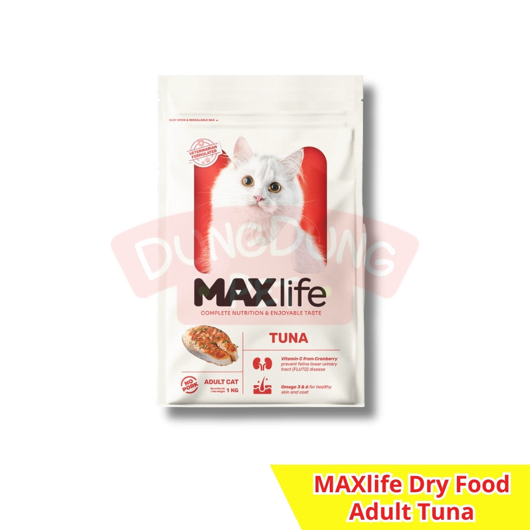 MAXlife dry food adult/kitten 1kg