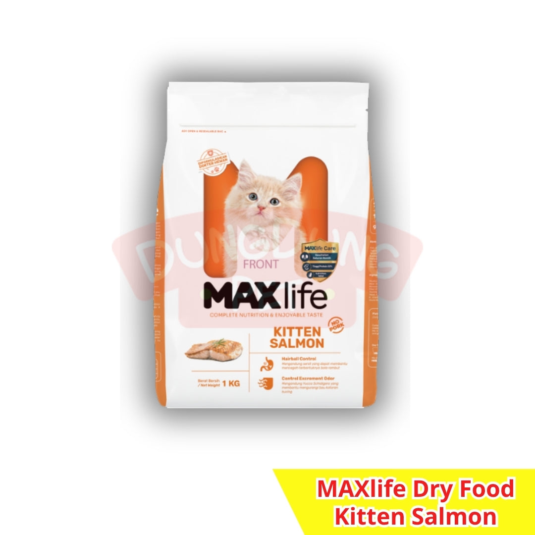 MAXlife dry food adult/kitten 1kg