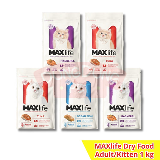 MAXlife dry food adult/kitten 1kg