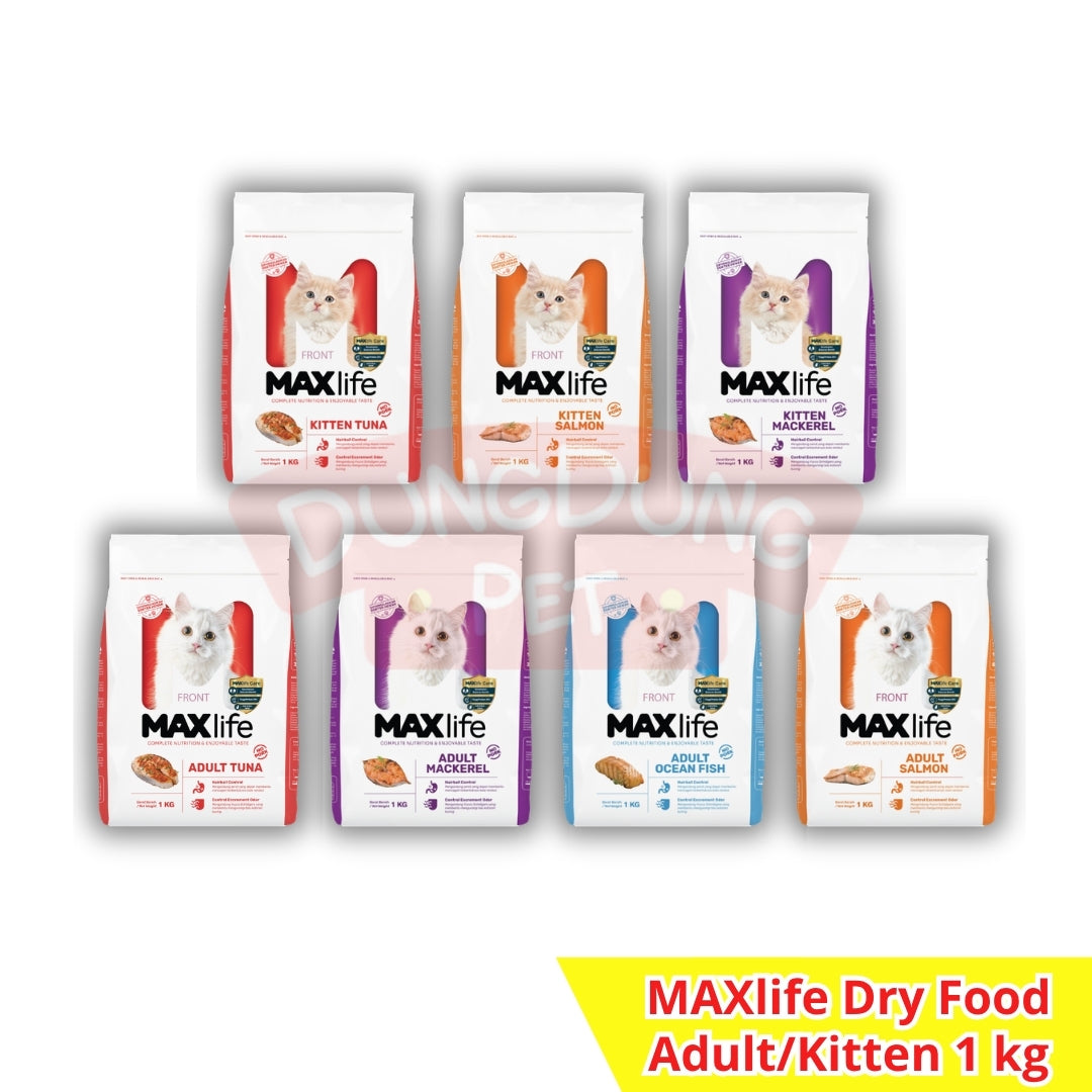 MAXlife dry food adult/kitten 1kg