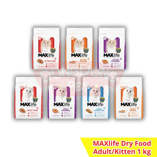 MAXlife dry food adult/kitten 1kg